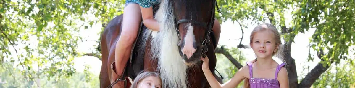 Children with horses