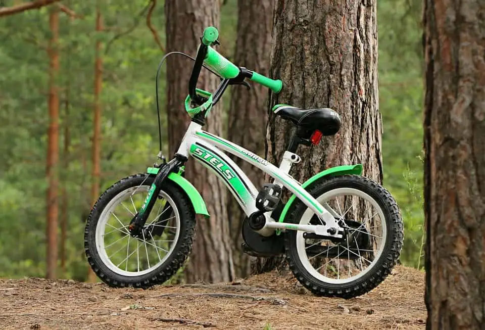 bike against tree
