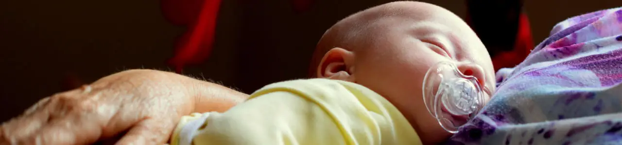 pexels-john-finkelstein-1581281