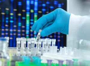 scientist handling DNA samples