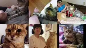 Jen and her cats